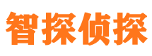 陵县外遇出轨调查取证